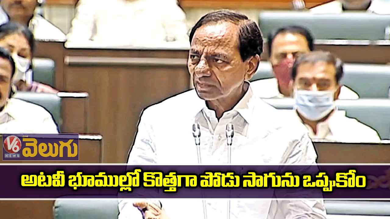 అటవీ భూముల్లో కొత్తగా పోడు సాగును ఒప్పుకోం