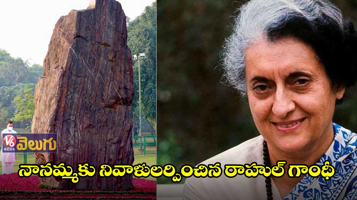 ఇందిరకు నివాళులర్పించిన రాహుల్