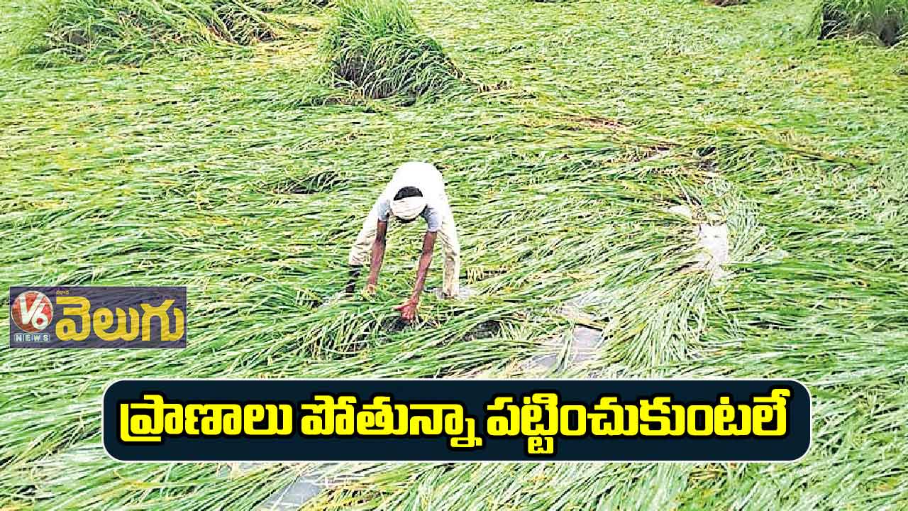 ప్రాణాలు పోతున్నా పట్టించుకుంటలే