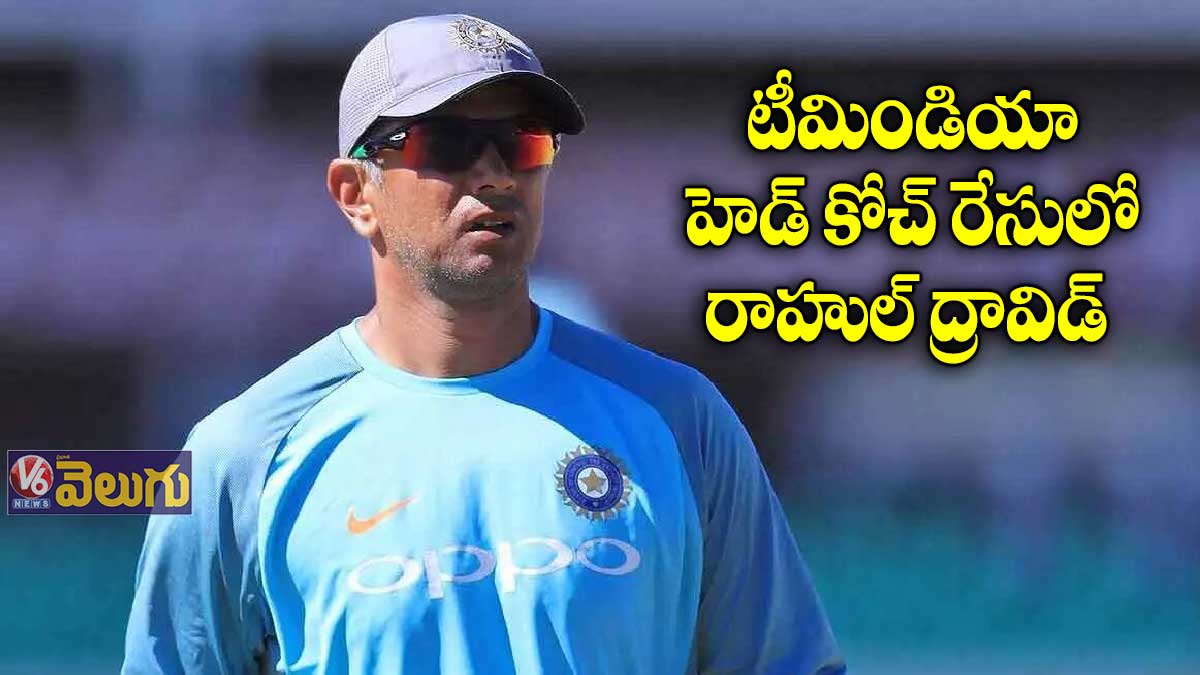 టీమిండియా కోచ్ పదవికి రాహుల్ ద్రావిడ్ దరఖాస్తు