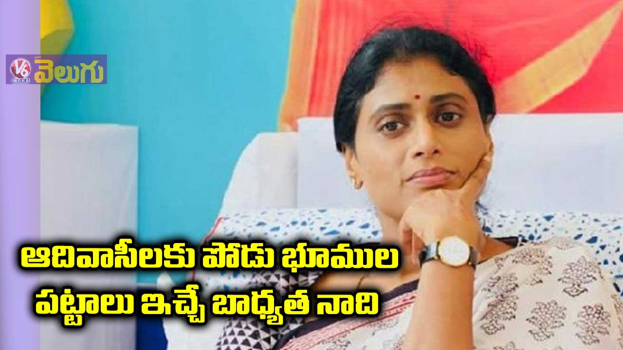 ఆదివాసీలకు పోడు భూముల పట్టాలు ఇచ్చే బాధ్యత నాది