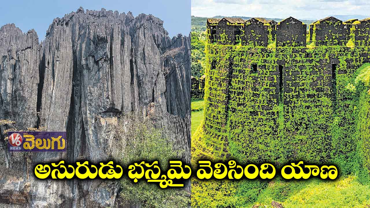 నేచర్ లవర్స్ మిస్ కాకూడని ప్లేస్ ‘యాణ’