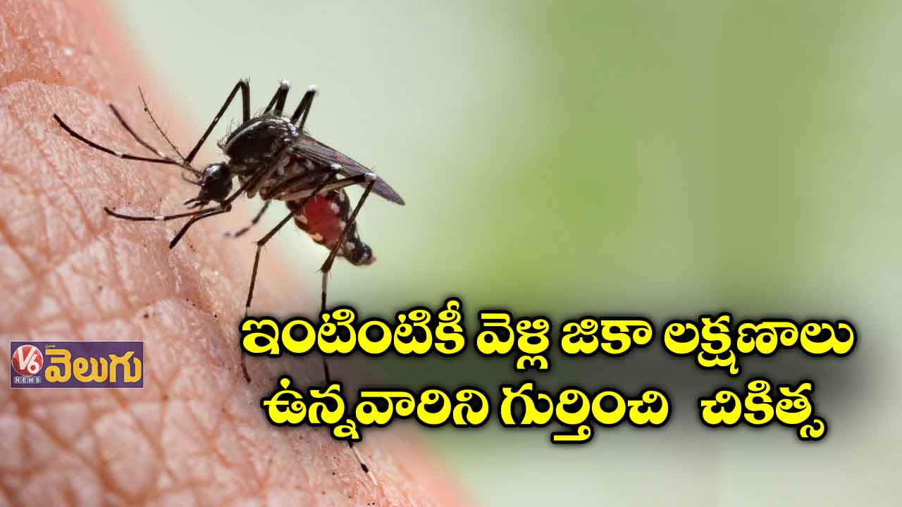 కాన్పూర్ లో 66 కు చేరిన జికా వైరస్ కేసులు