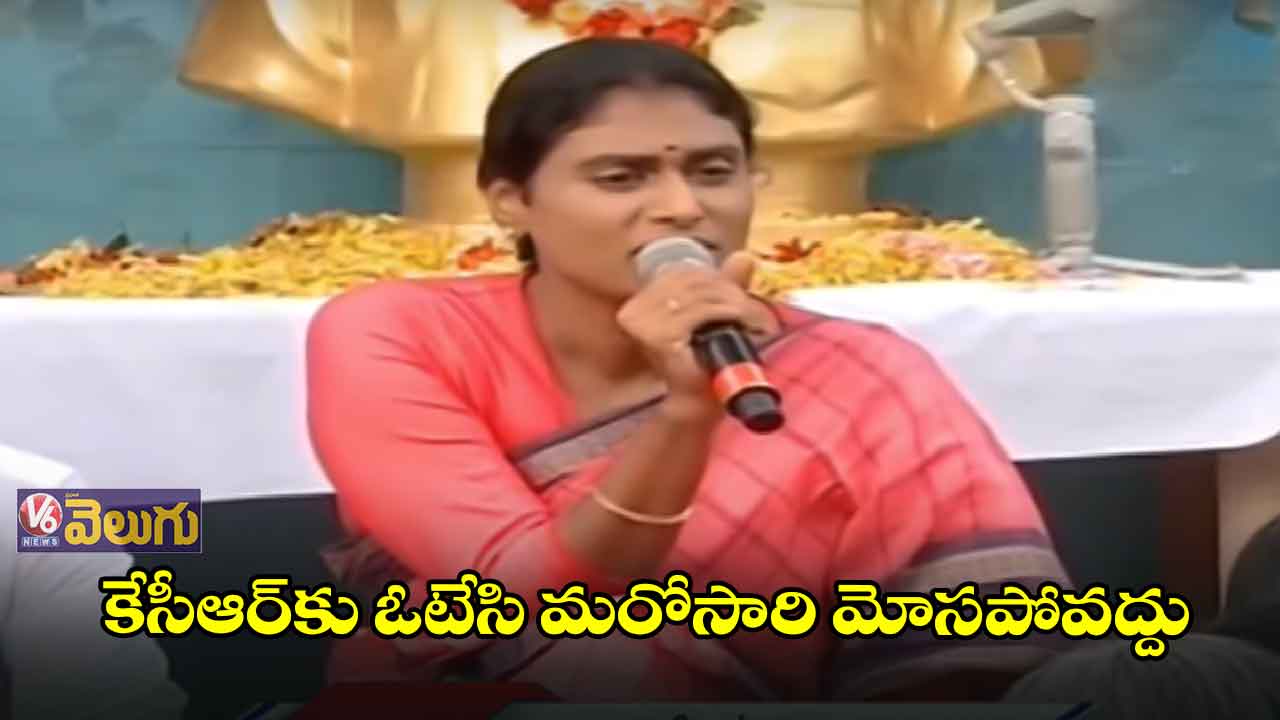 ఉన్నత చదువులు చదివిన పిల్లలు బర్లు, గొర్లు కాయాలా?