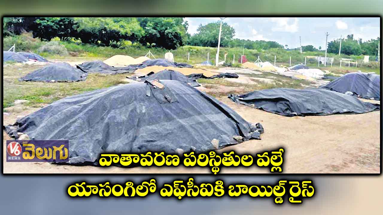 వాతావరణ పరిస్థితుల వల్లే యాసంగిలో ఎఫ్సీఐకి బాయిల్డ్ రైస్
