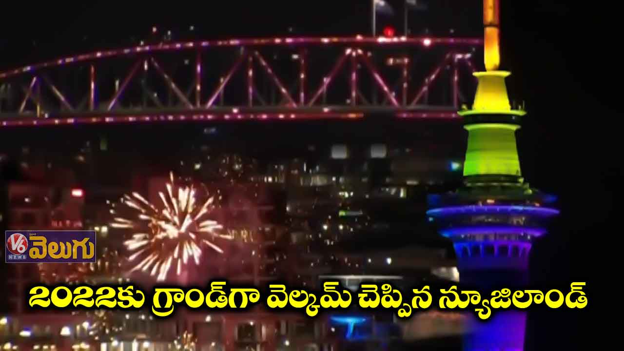న్యూజిలాండ్ లో స్టార్టయిన న్యూఇయర్
