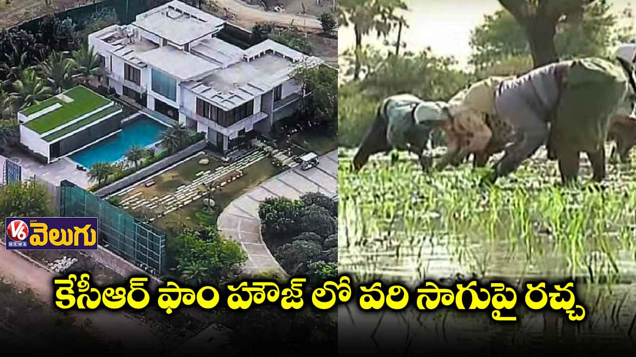 కేసీఆర్ ఫాం హౌజ్ లో వరి సాగుపై రచ్చ