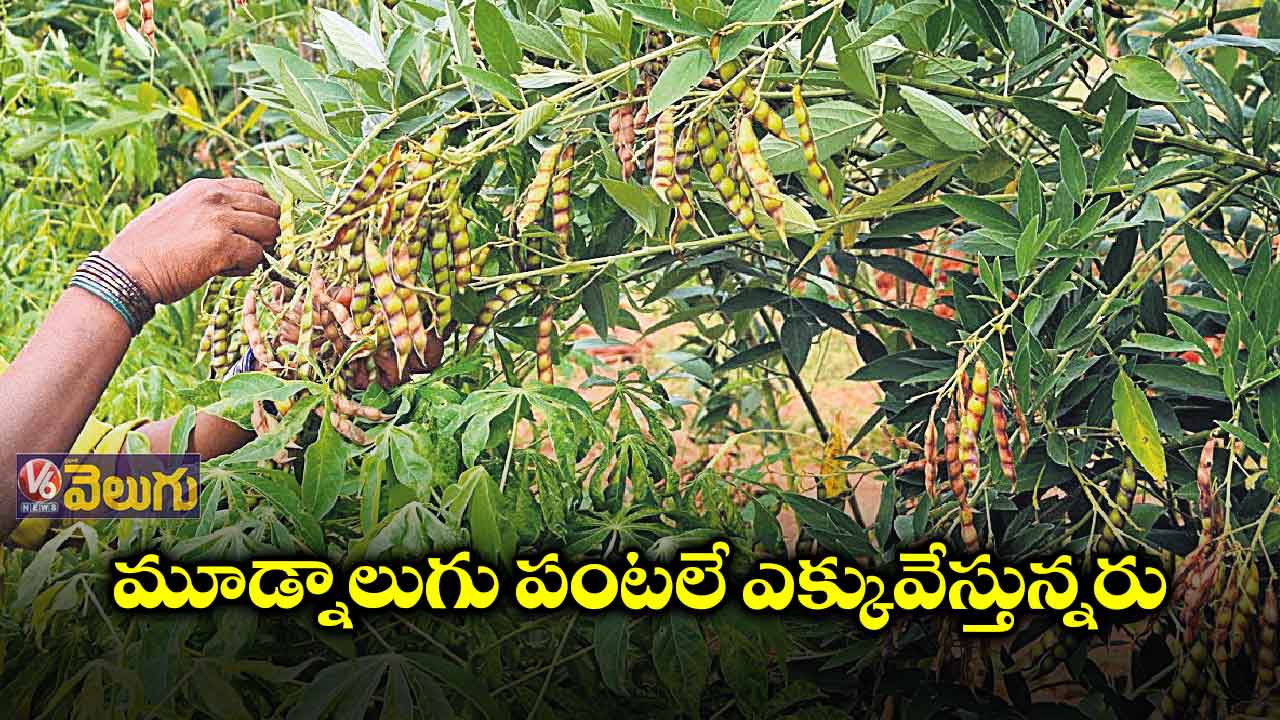 పంటల మార్పిడి ఈజీ కాదు