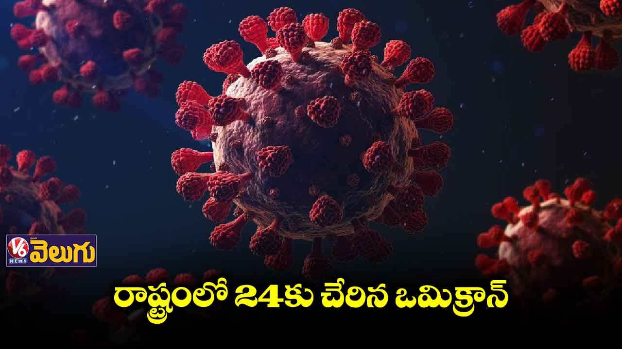 తెలంగాణలో కొత్తగా 4 ఒమిక్రాన్ కేసులు