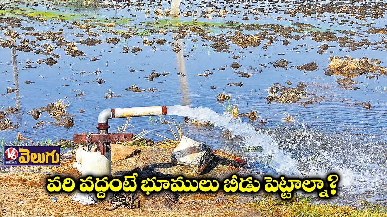 వరి వేయకుంటే.. బోర్లన్నీ ఉత్తయే!