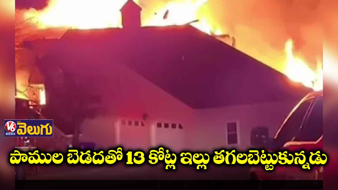 ప్రాణ భయం లేకుండా చేసుకునే ప్రయత్నంలో ఆస్తి పోయింది!