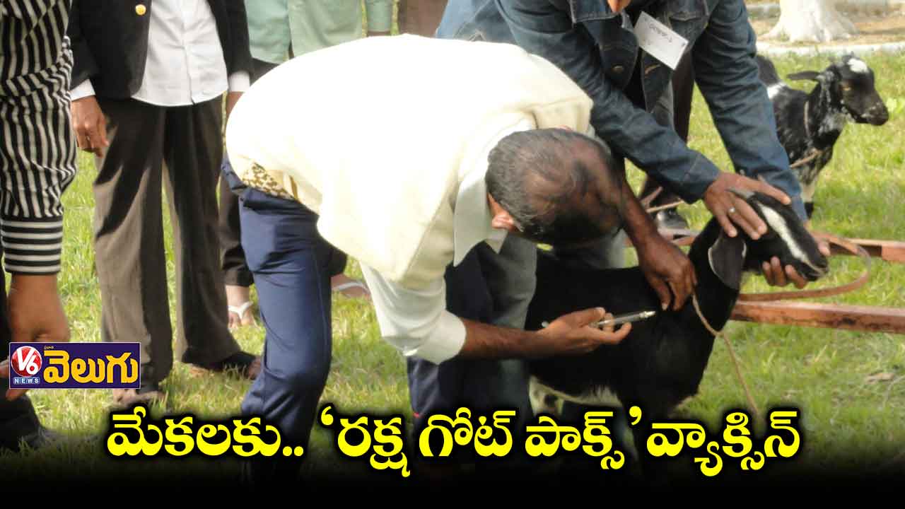 ఆసియా, ఆఫ్రికా, మిడిల్ ఈస్ట్ దేశాల్లోనే ఎక్కువ