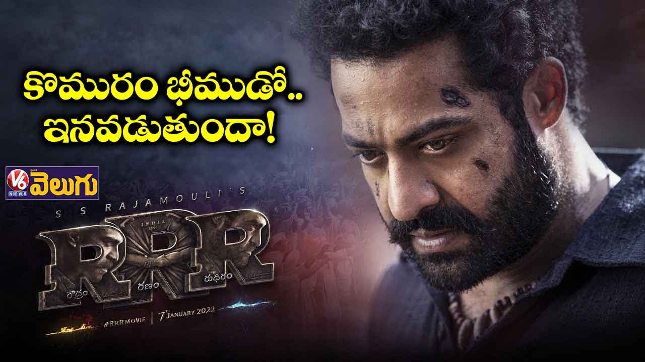 రివోల్ట్ ఆఫ్ భీమ్