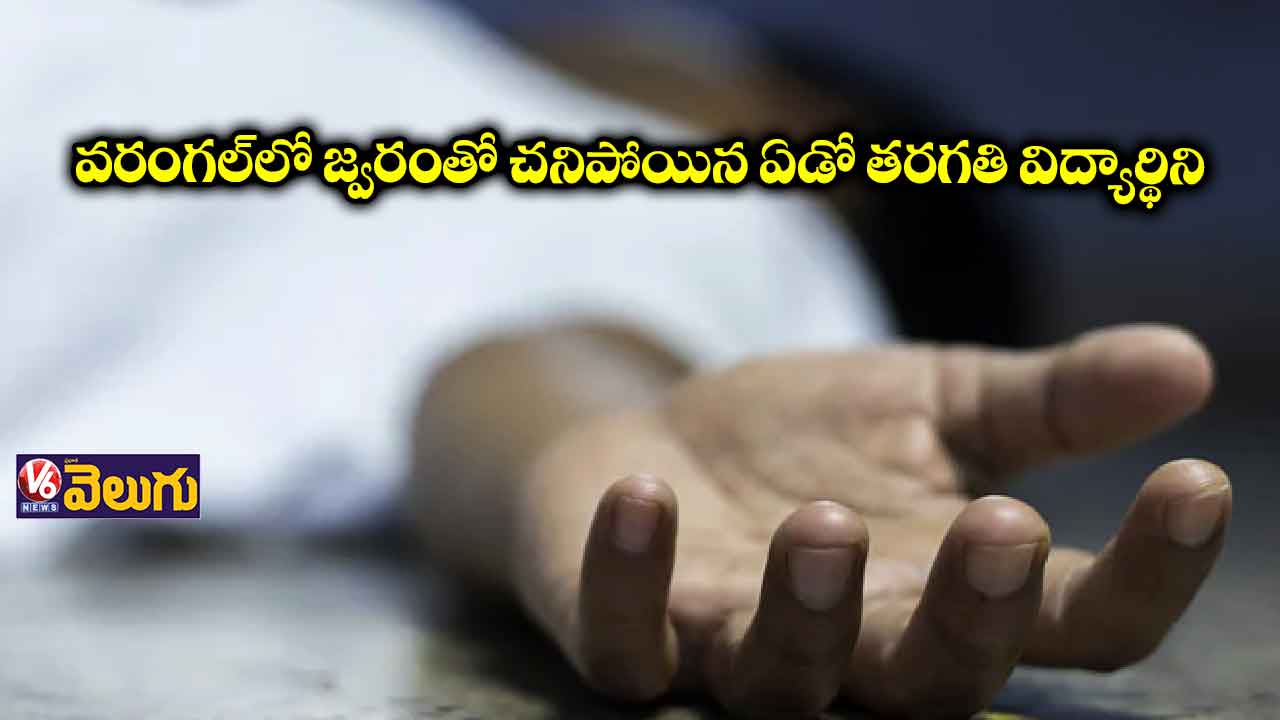 వరంగల్‌లో జ్వరంతో చనిపోయిన ఏడో తరగతి విద్యార్థిని