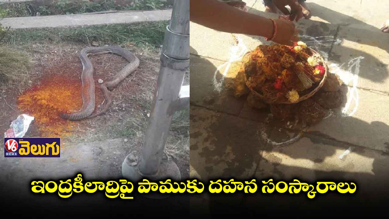 ఇంద్రకీలాద్రిపై పాముకు దహన సంస్కారాలు