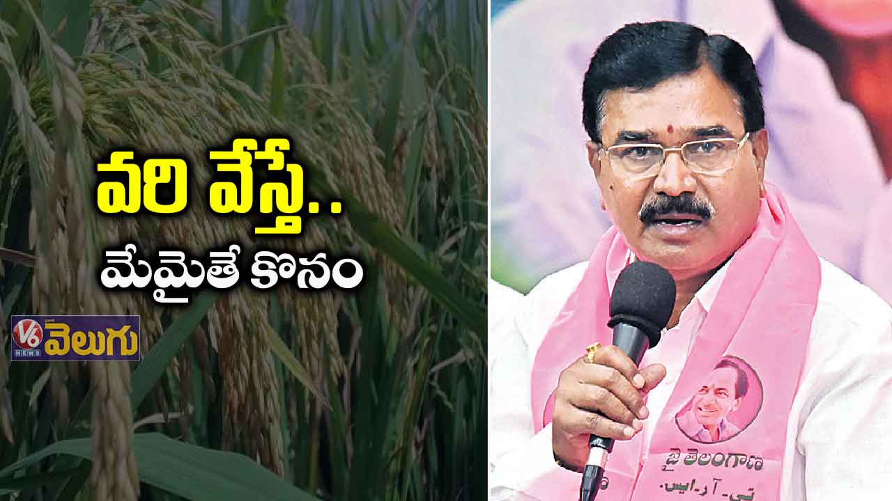 యాసంగిలో వరి వేస్తే మునుగుతరు