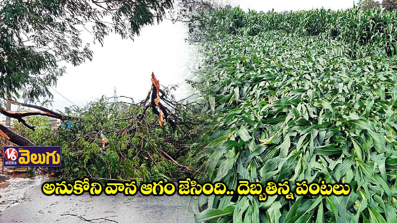 రాష్ట్రంలో పలుచోట్ల వడగండ్ల వాన