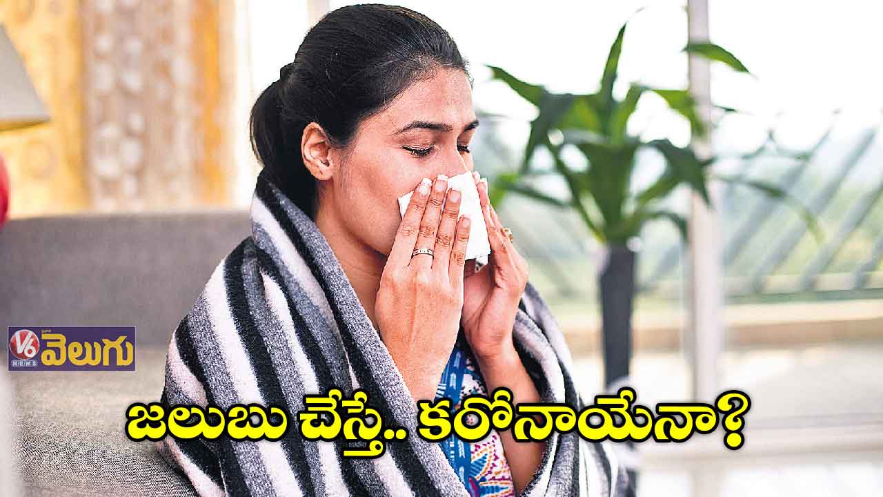 జలుబు చేస్తే.. కరోనాయేనా?