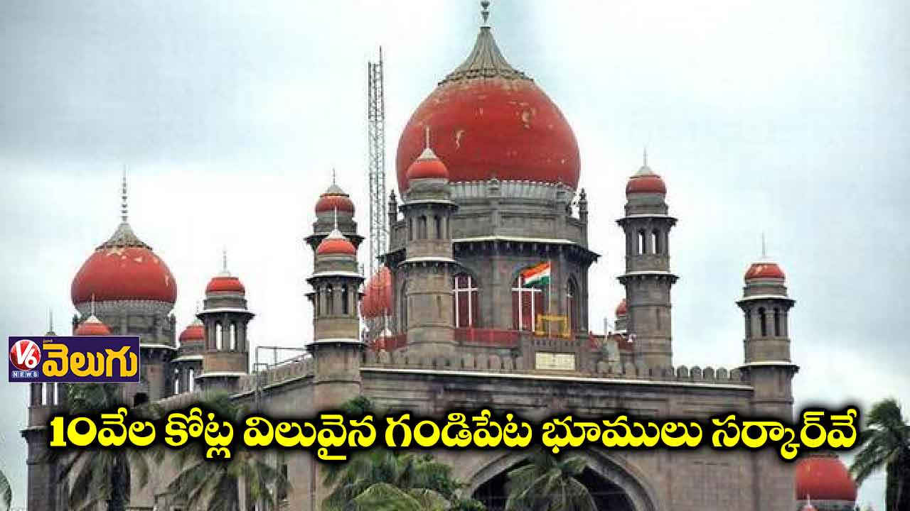 ఆ భూములు ప్రభుత్వానివే 