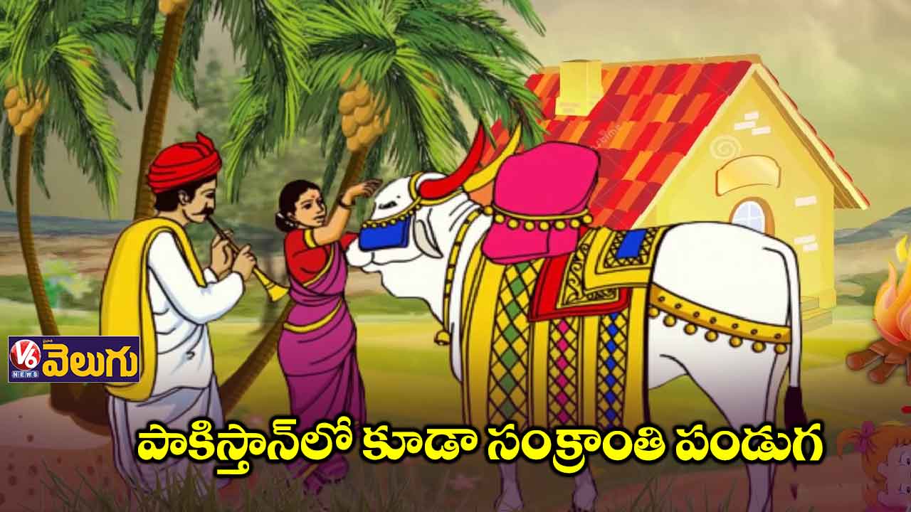 సంక్రాంతి పండుగ ఒక్కోచోట ఒక్కోలా