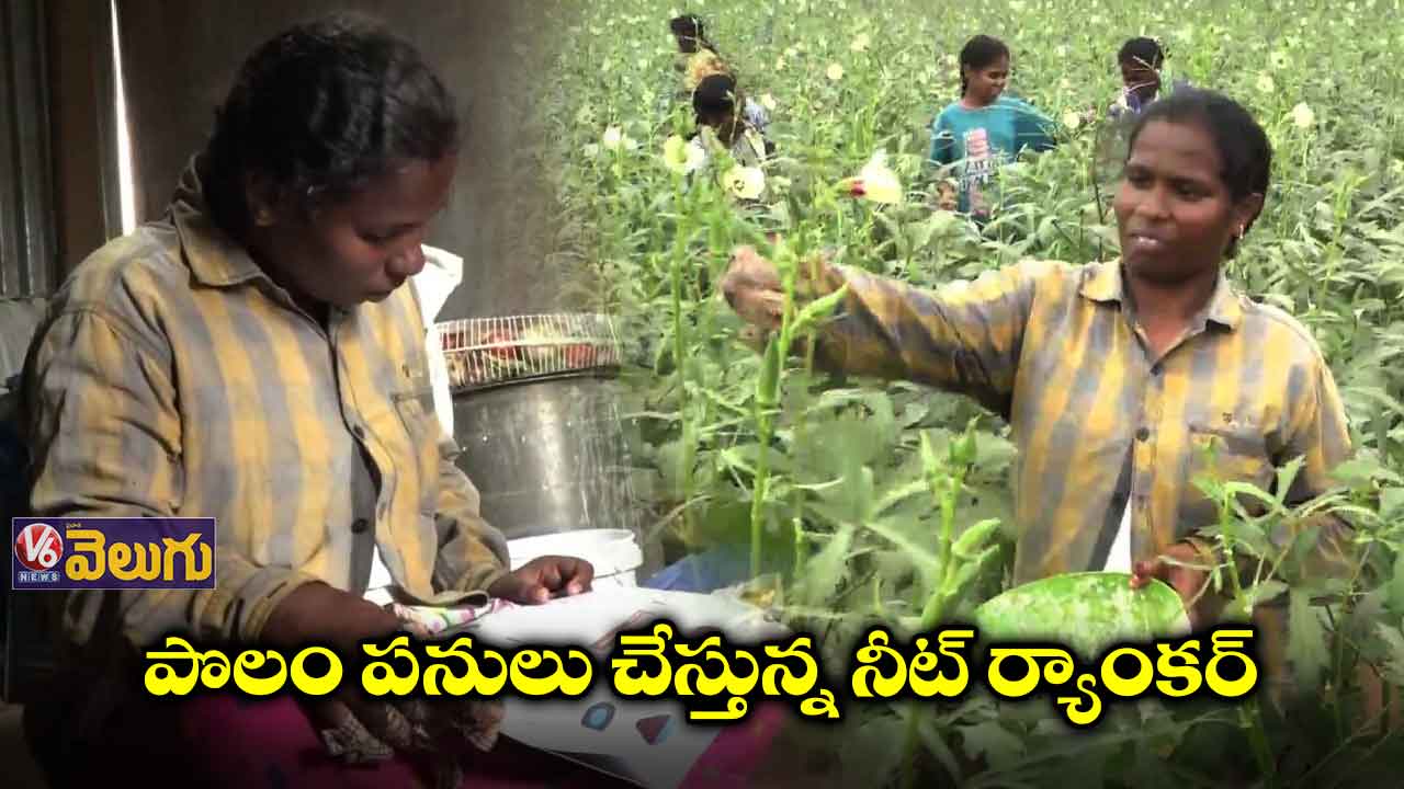 నీట్లో రెండు సార్లు ర్యాంకు.. డబ్బుల్లేక వ్యవసాయం