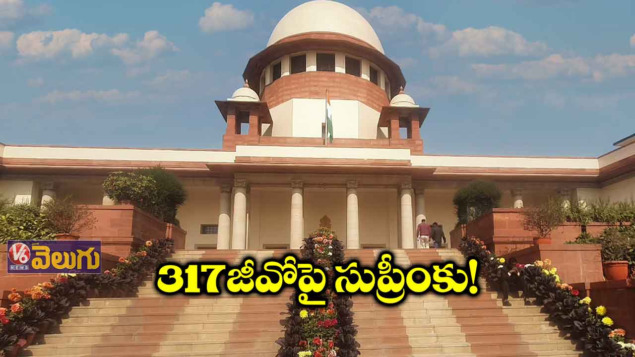 317 జీవోపై సుప్రీంకు!