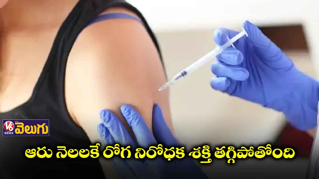 వారిలో 6 నెలలకే యాంటీబాడీలు మాయం