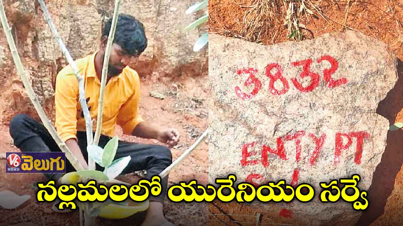 నల్లమలలో యురేనియం సర్వే