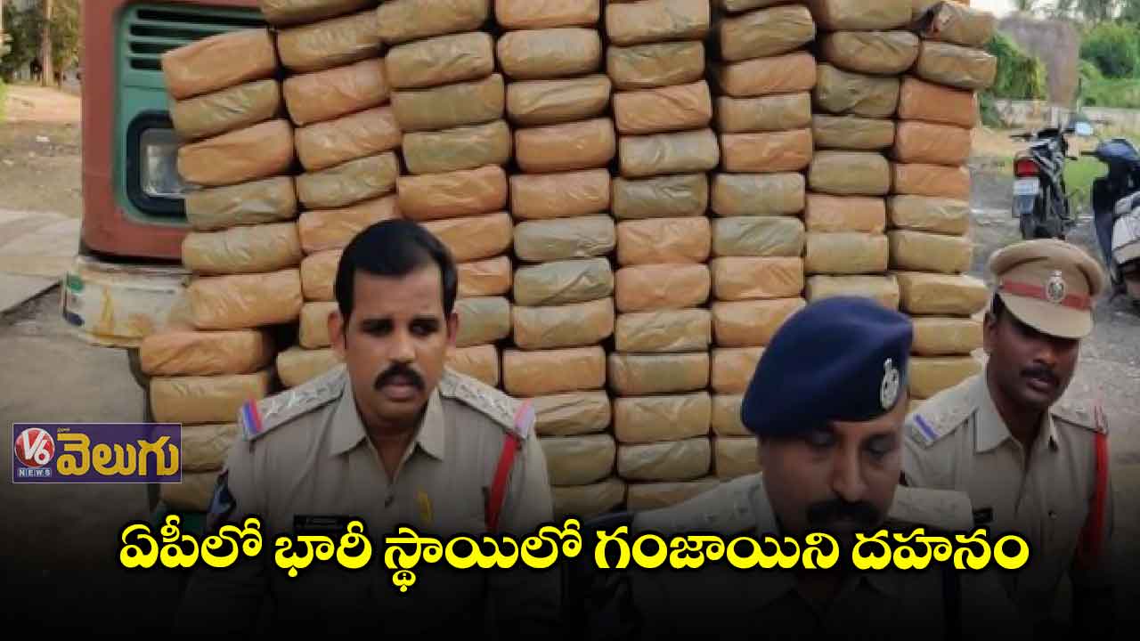 ఏపీలో భారీ స్థాయిలో గంజాయి దహనం