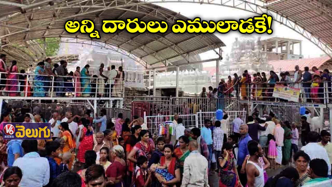 భక్తులతో కిక్కిరిసిన రాజన్న ఆలయం