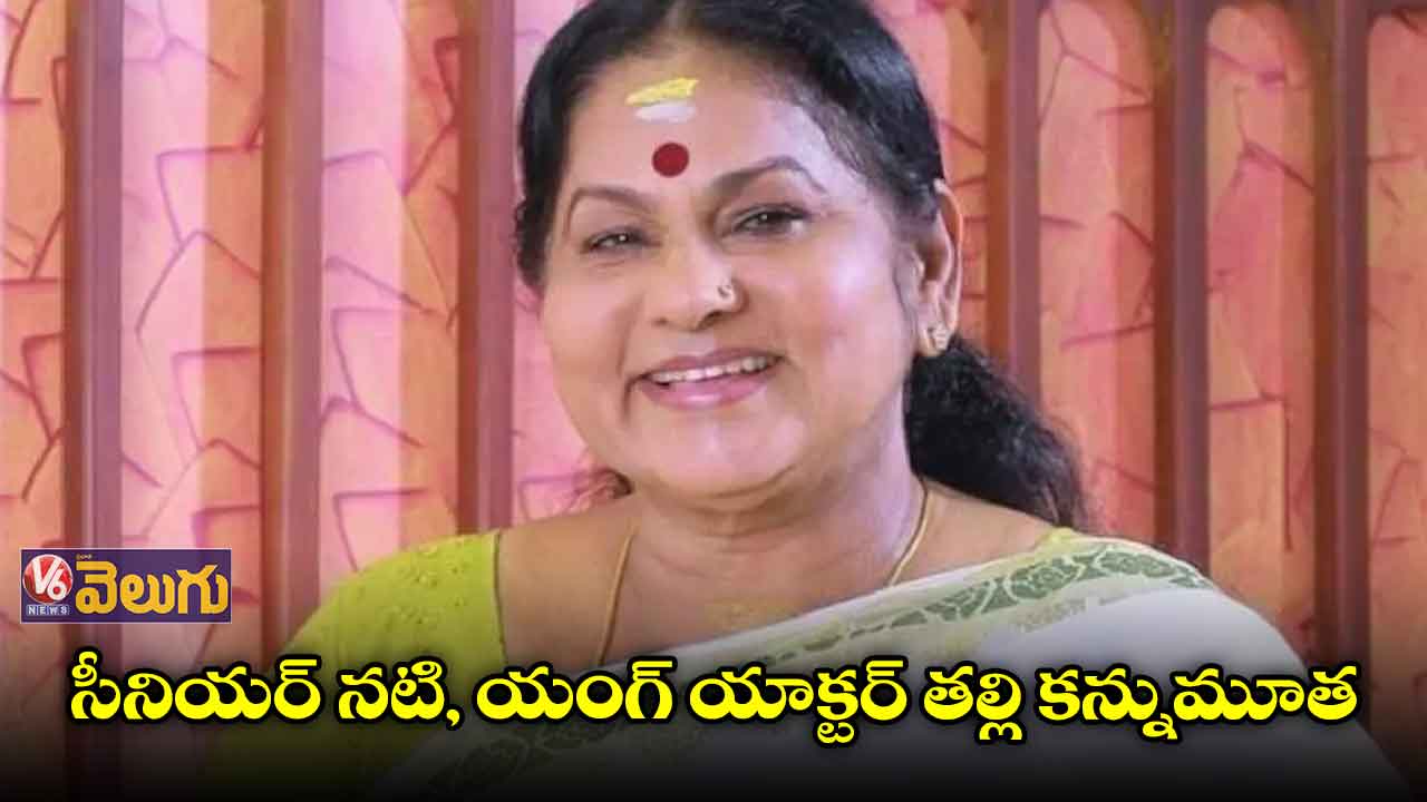 సినీ ఇండస్ట్రీలో మరో మరణం