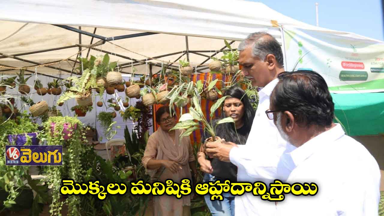 అందుబాటులో అన్ని రకాల మొక్కలు