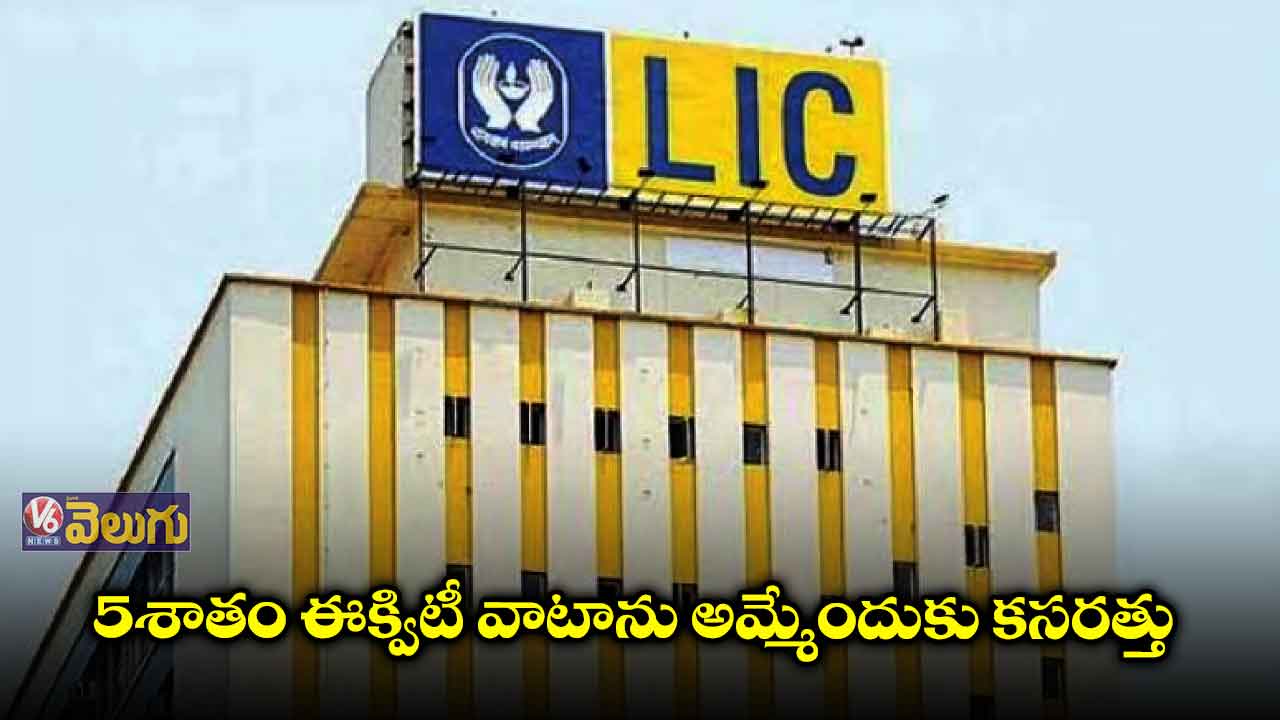 ఎల్ఐసీ ఐపీఓ కోసం సెబీకి డ్రాఫ్ట్ పేపర్స్