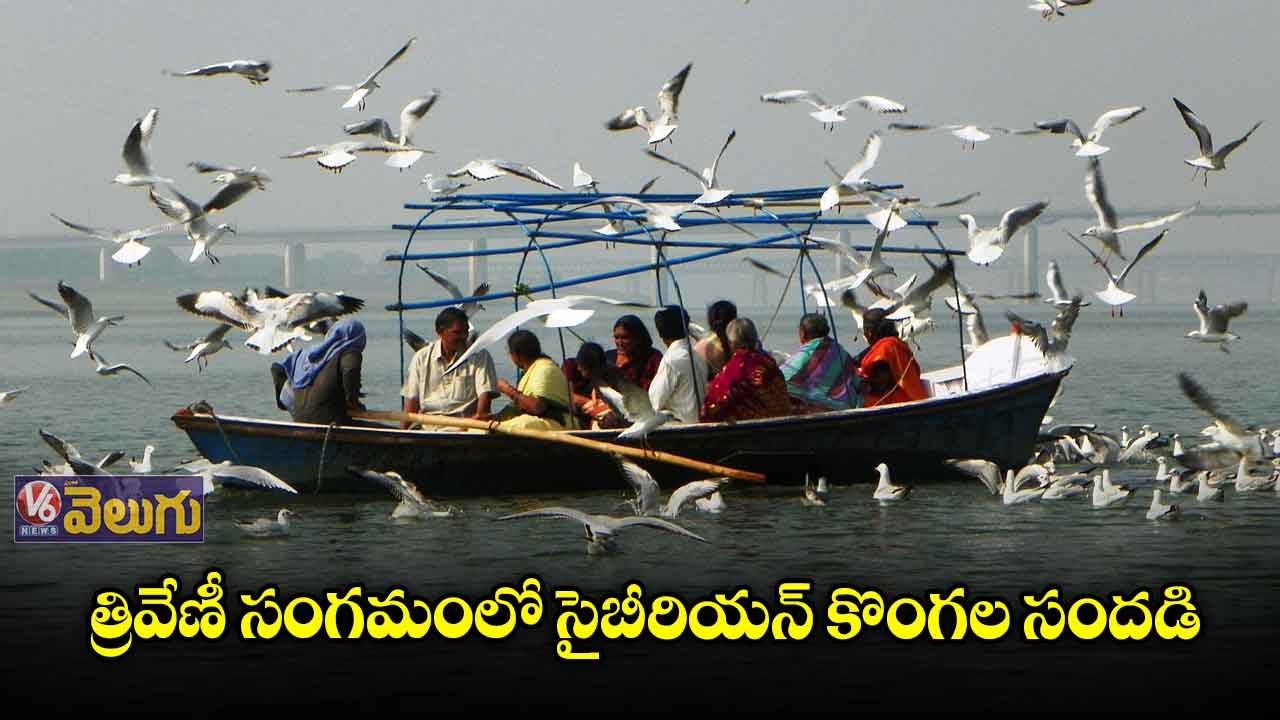 పర్యాటకులకు అలరిస్తున్న విదేశీ పక్షులు