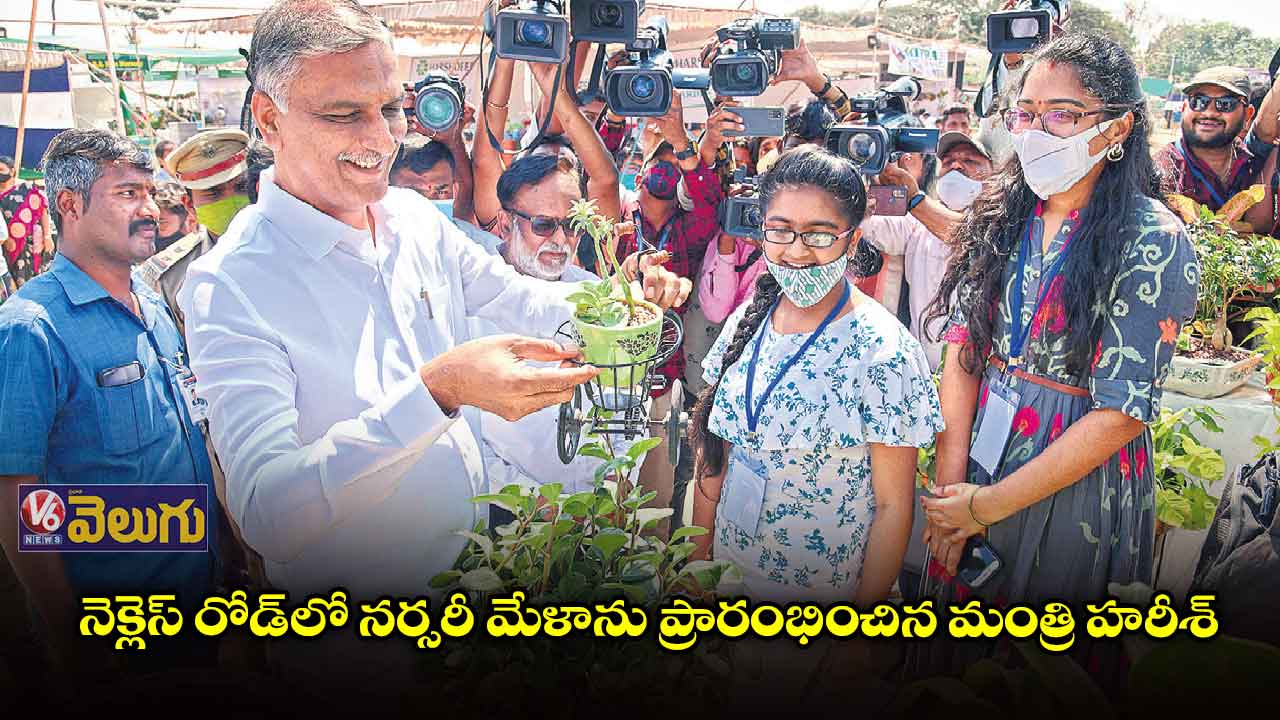 గ్రీనరీతో మానసిక ప్రశాంతత
