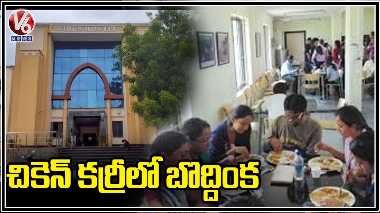 చికెన్ కర్రీలో బొద్దింక