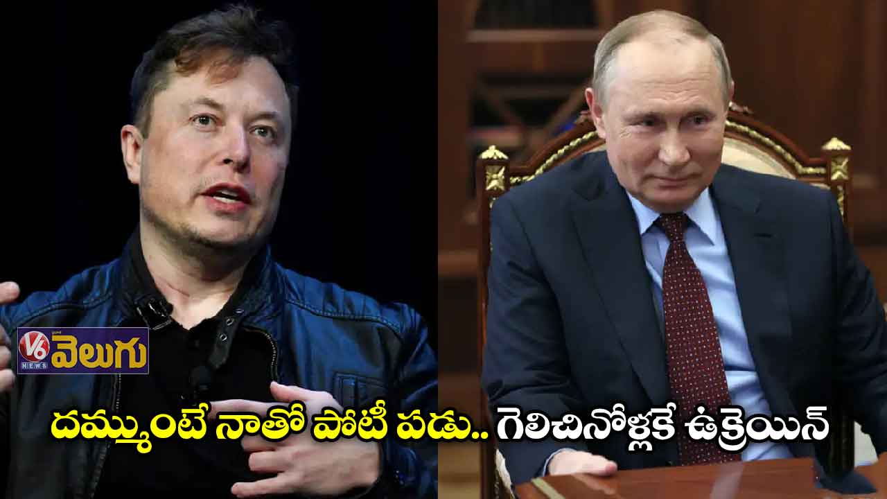 దమ్ముంటే నాతో పోటీ పడు.. గెలిచినోళ్లకే ఉక్రెయిన్