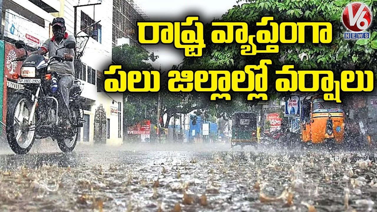 రాష్ట్ర వ్యాప్తంగా పలు జిల్లాల్లో వర్షాలు