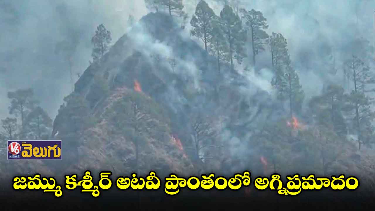 జమ్ము కశ్మీర్ అటవీ ప్రాంతంలో అగ్నిప్రమాదం
