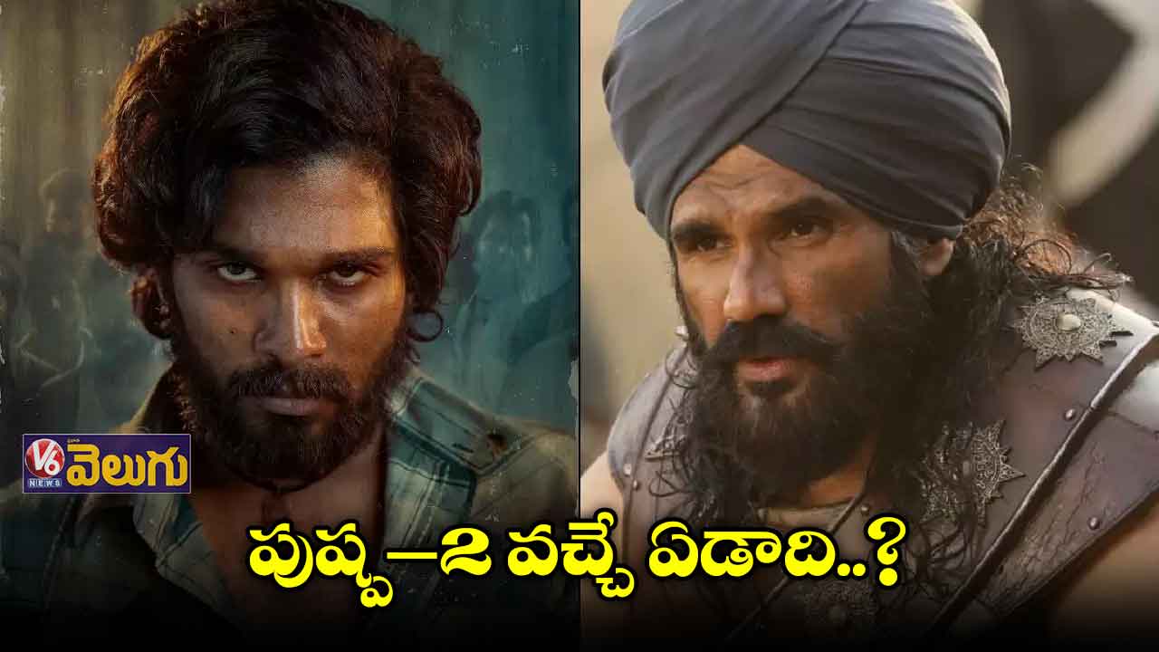 పుష్ప -2 వచ్చే ఏడాది..?