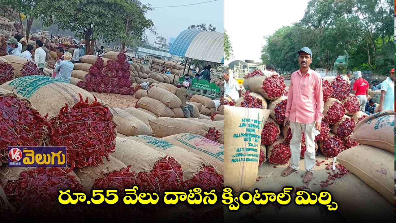 గోల్డ్ రేటును దాటిన మిర్చి ధర