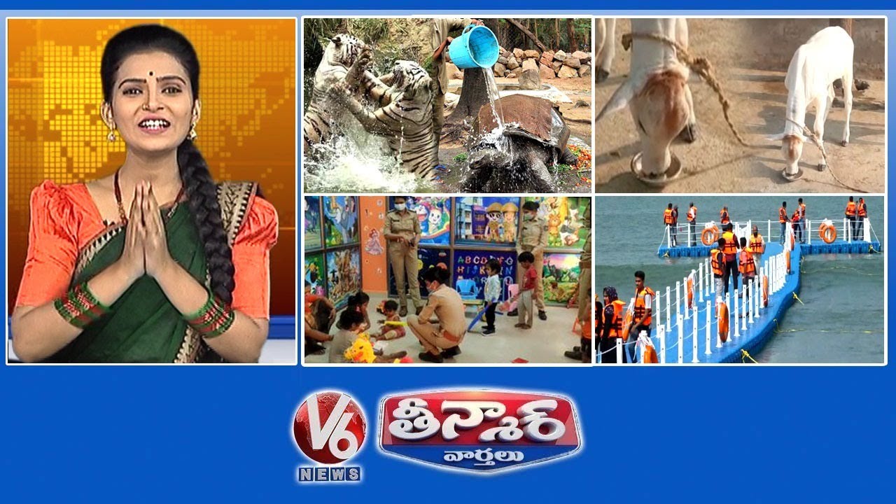 Cooling System For Animals | Calves Drinks Tea | Child Friendly Policing | V6 Weekend Teenmaar