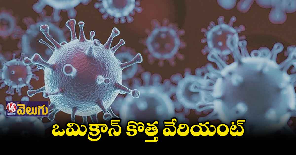 దేశంలో రెండో ఒమిక్రాన్ BA.4 కేసు.. ఎక్కడంటే