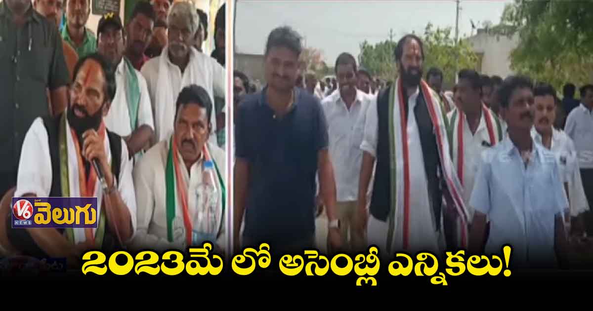 టీఆర్ఎస్ ఎమ్మెల్యేలు, మంత్రులు రాష్ట్రాన్ని లూటీ చేస్తున్నారు