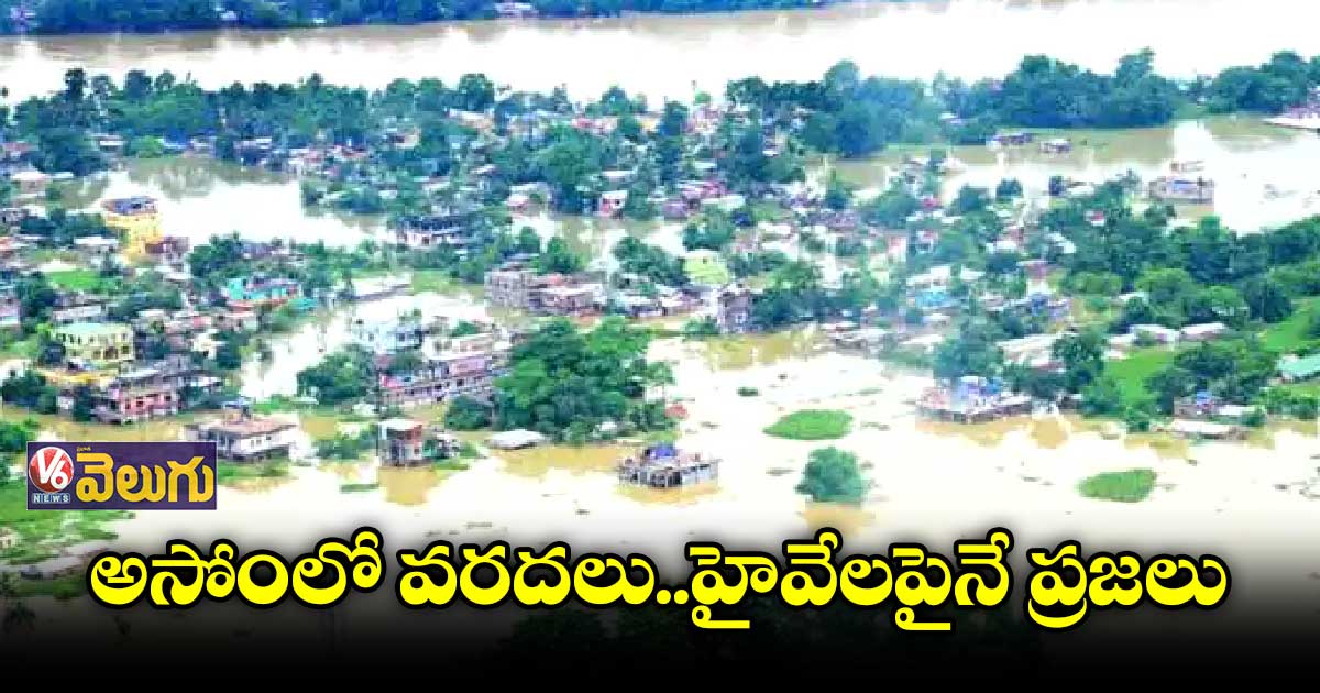 అసోంలో వరద విలయం