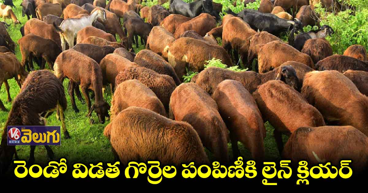 రెండో విడత గొర్రెల పంపిణీకి లైన్ క్లియర్