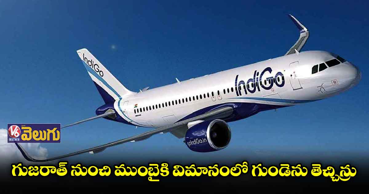 వ్యక్తి ప్రాణాలను కాపాడిన ఇండిగో ఎయిర్లైన్స్