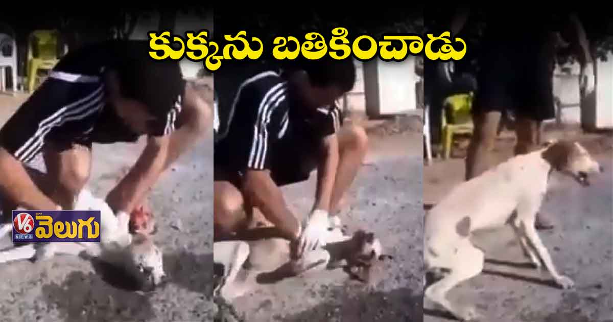 కుక్కను బతికించాడు.. హృదయాలను కదిలిస్తున్న వీడియో