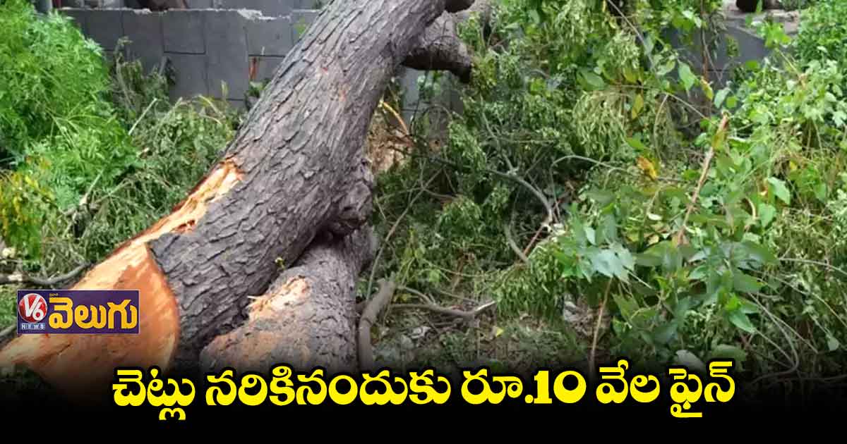 చెట్లు నరికినందుకు పది వేల జరిమానా