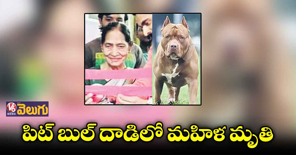 పెంపుడు కుక్కే ప్రాణం తీసింది